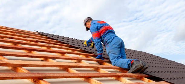 Best Roof Moss and Algae Removal  in Spokane Valley, WA